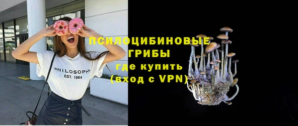 эйфоретик Сатка