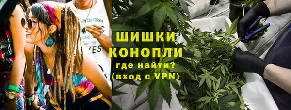 дмт Алзамай